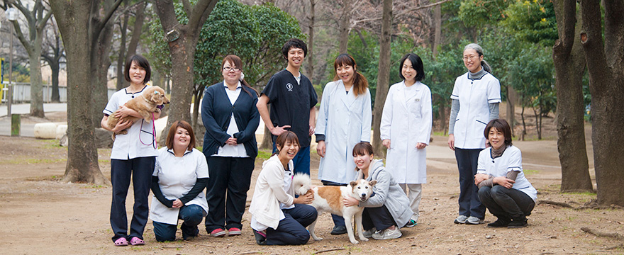 東京都江東区 こころ動物病院