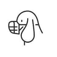 スクリーンショット-2024-02-23-11.48.19